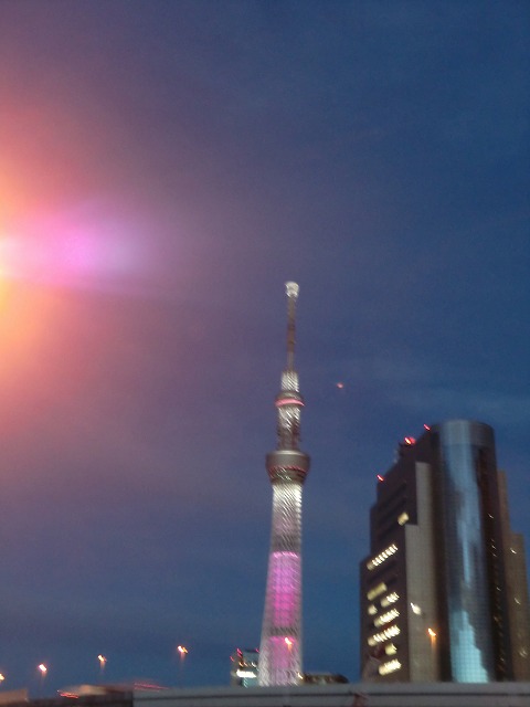 a0006033_1544424.jpg