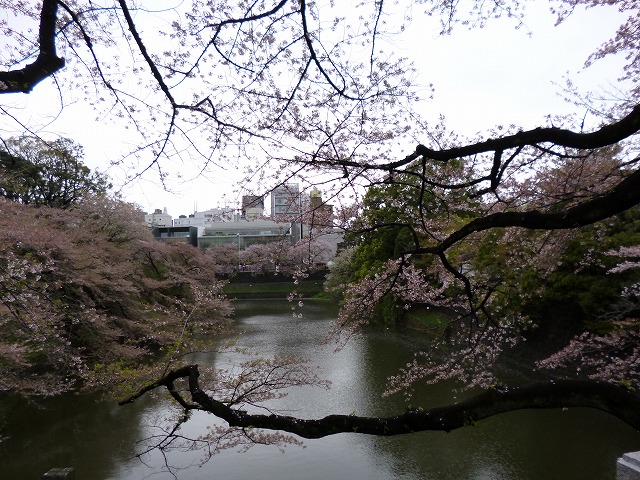 a0006033_1755134.jpg