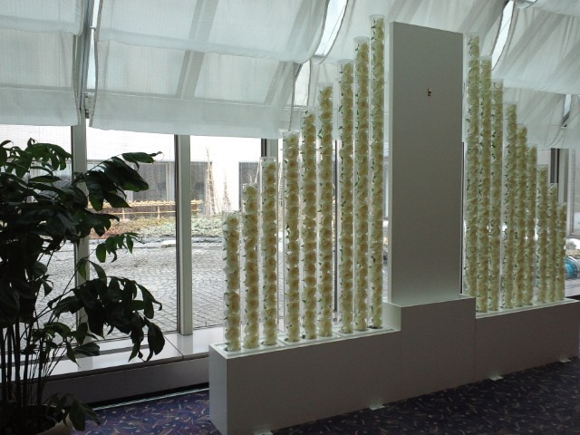 c0117239_820147.jpg