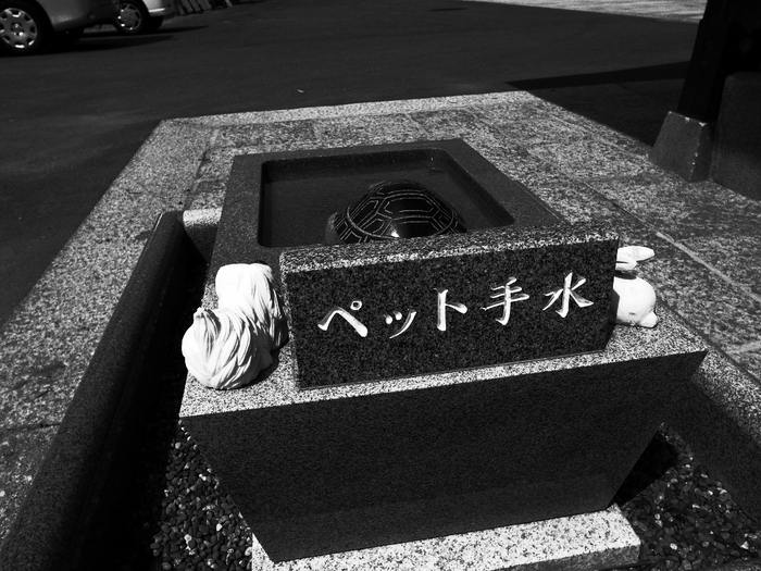 街ぶら~仁保町~_b0190540_94353.jpg