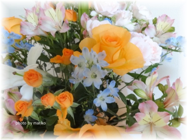 thanks お花_d0165645_1247561.jpg