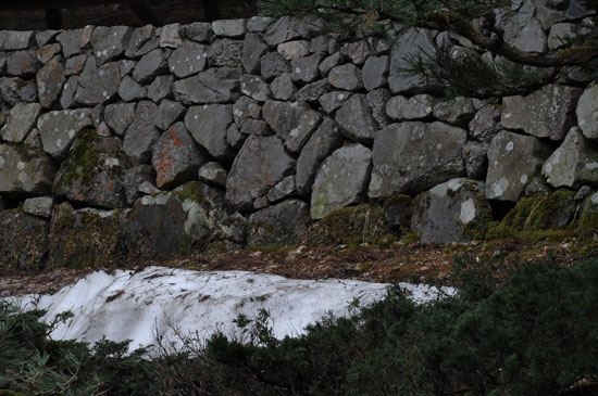 c0093046_76569.jpg
