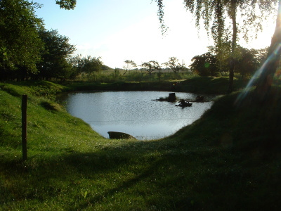 f0271949_91034.jpg
