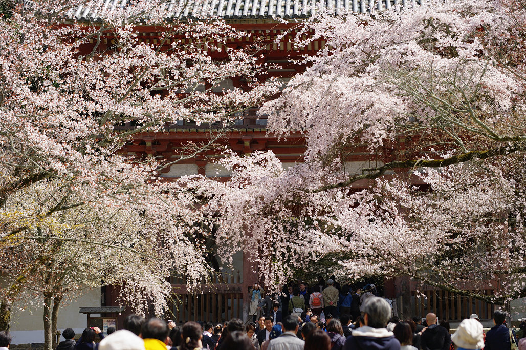 f0152550_2053492.jpg
