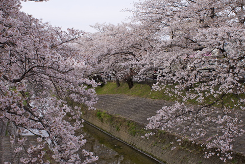 e0123255_21474135.jpg