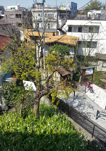 根津神社から本郷界隈を散策しつつ、ピンホール写真の撮影_f0117059_20263277.jpg