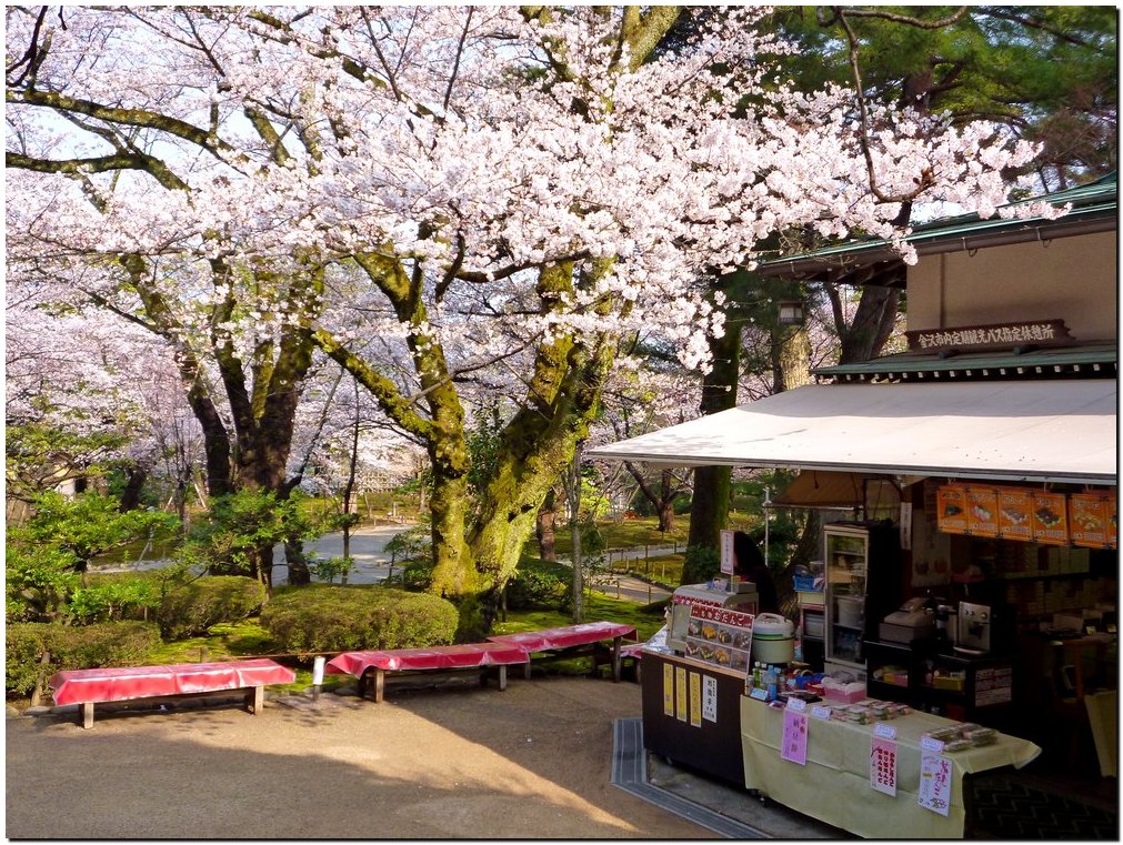 ２１世紀美術館～金沢城公園～兼六園_a0240761_17103744.jpg