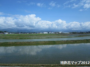 富山地鉄の花便り2013@チューリップと菜の花_a0243562_166566.jpg