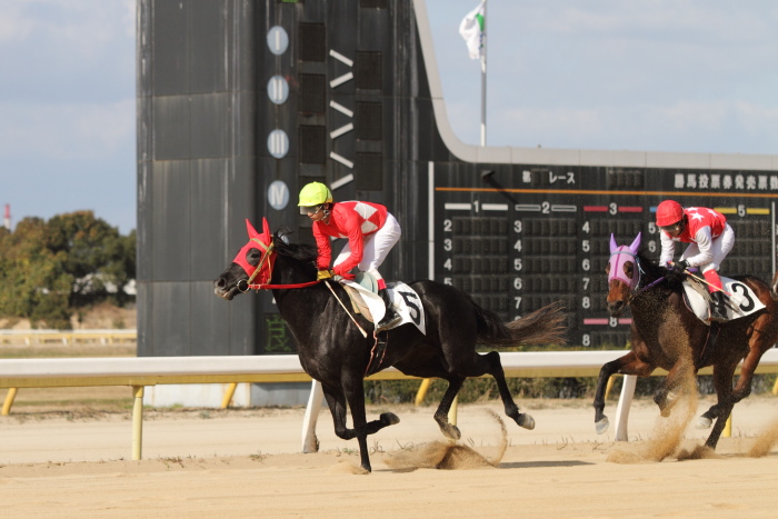 2011年12月23日（金） 荒尾競馬 3R 荒尾競馬装蹄師会特選 2歳2組 その2_a0077663_173542100.jpg