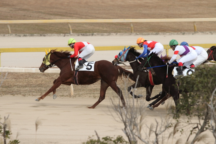 2011年12月23日（金） 荒尾競馬 5R 荒尾競馬厩務員会特選 2歳1組 その2_a0077663_18301332.jpg