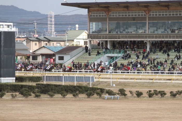 2011年12月23日（金） 荒尾競馬 5R 荒尾競馬厩務員会特選 2歳1組 その2_a0077663_18302369.jpg