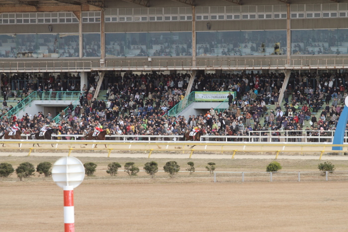 2011年12月23日（金） 荒尾競馬 5R 荒尾競馬厩務員会特選 2歳1組 その2_a0077663_18302943.jpg