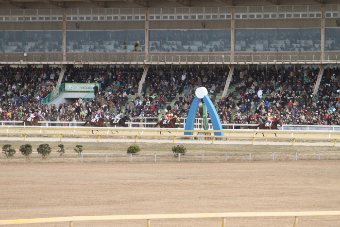 2011年12月23日(金) 荒尾競馬 5R 荒尾競馬厩務員会特選 2歳1組 その2_a0077663_18303128.jpg