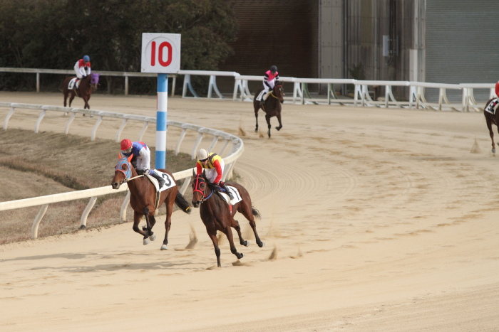 2011年12月23日(金) 荒尾競馬 5R 荒尾競馬厩務員会特選 2歳1組 その2_a0077663_18303422.jpg