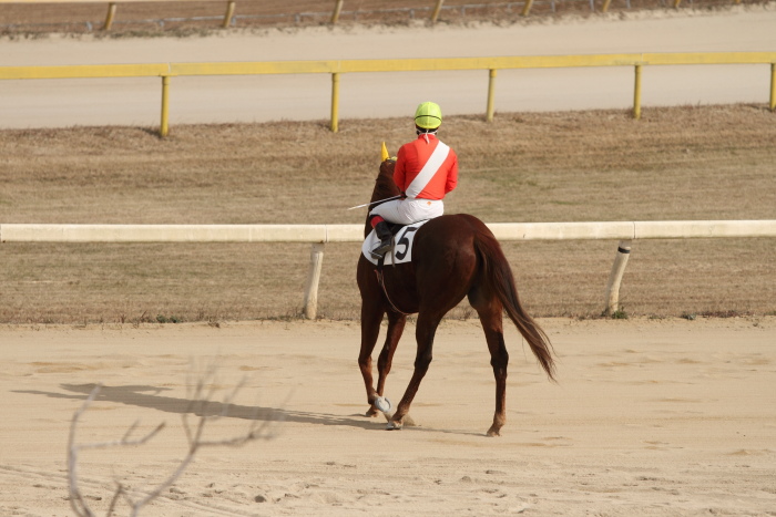 2011年12月23日(金) 荒尾競馬 5R 荒尾競馬厩務員会特選 2歳1組 その2_a0077663_18303851.jpg