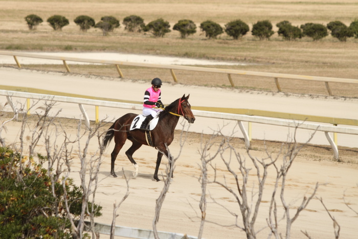 2011年12月23日(金) 荒尾競馬 5R 荒尾競馬厩務員会特選 2歳1組 その2_a0077663_18304080.jpg