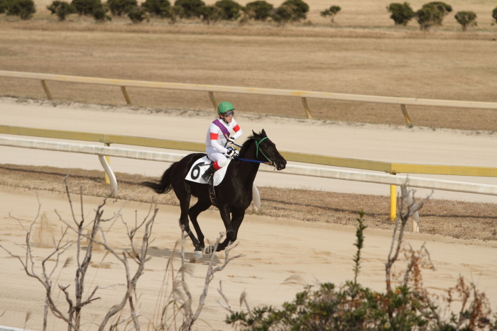2011年12月23日(金) 荒尾競馬 5R 荒尾競馬厩務員会特選 2歳1組 その2_a0077663_18304399.jpg