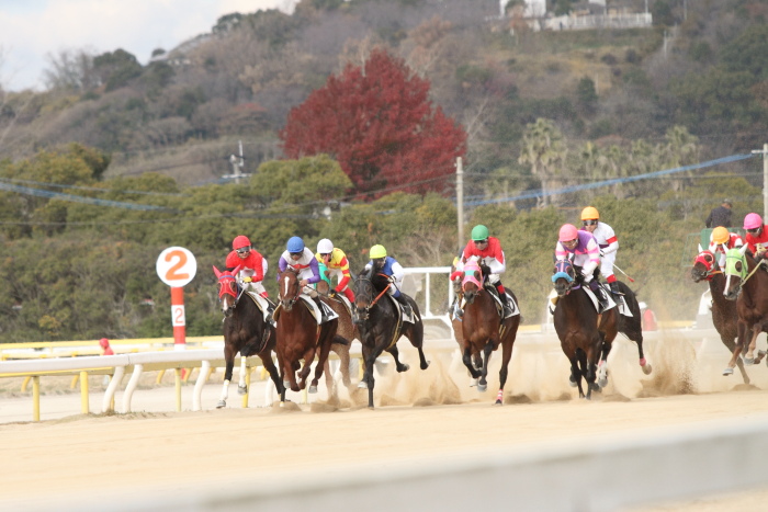 2011年12月23日（金） 荒尾競馬 6R 熊本県調騎会特選 C1組 その2_a0077663_18572333.jpg