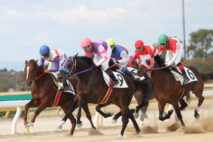 2011年12月23日（金） 荒尾競馬 6R 熊本県調騎会特選 C1組 その2_a0077663_18572595.jpg