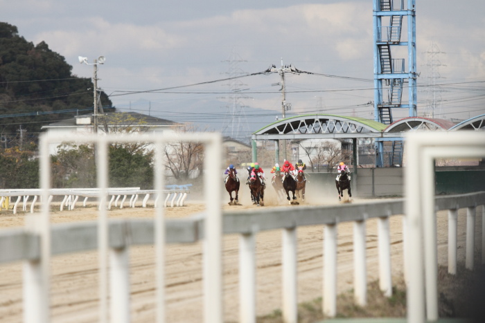 2011年12月23日（金） 荒尾競馬 6R 熊本県調騎会特選 C1組 その2_a0077663_1857294.jpg