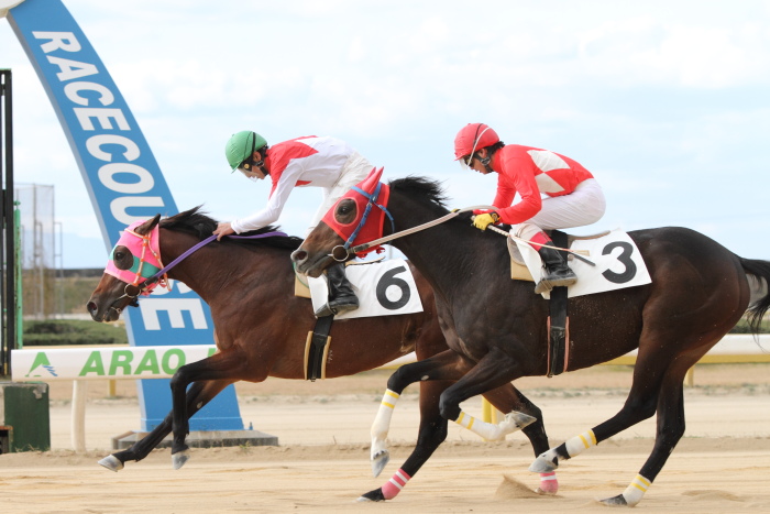 2011年12月23日(金) 荒尾競馬 6R 熊本県調騎会特選 C1組 その2_a0077663_18573737.jpg