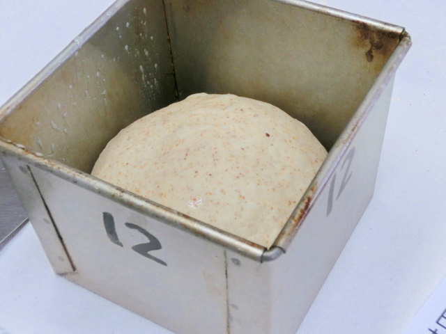 d0255763_1513043.jpg