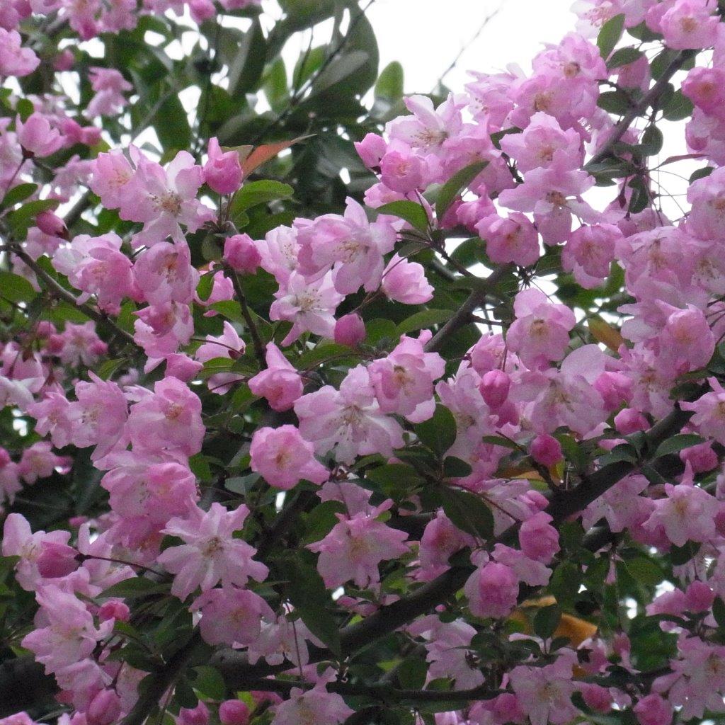 a0123465_2334229.jpg