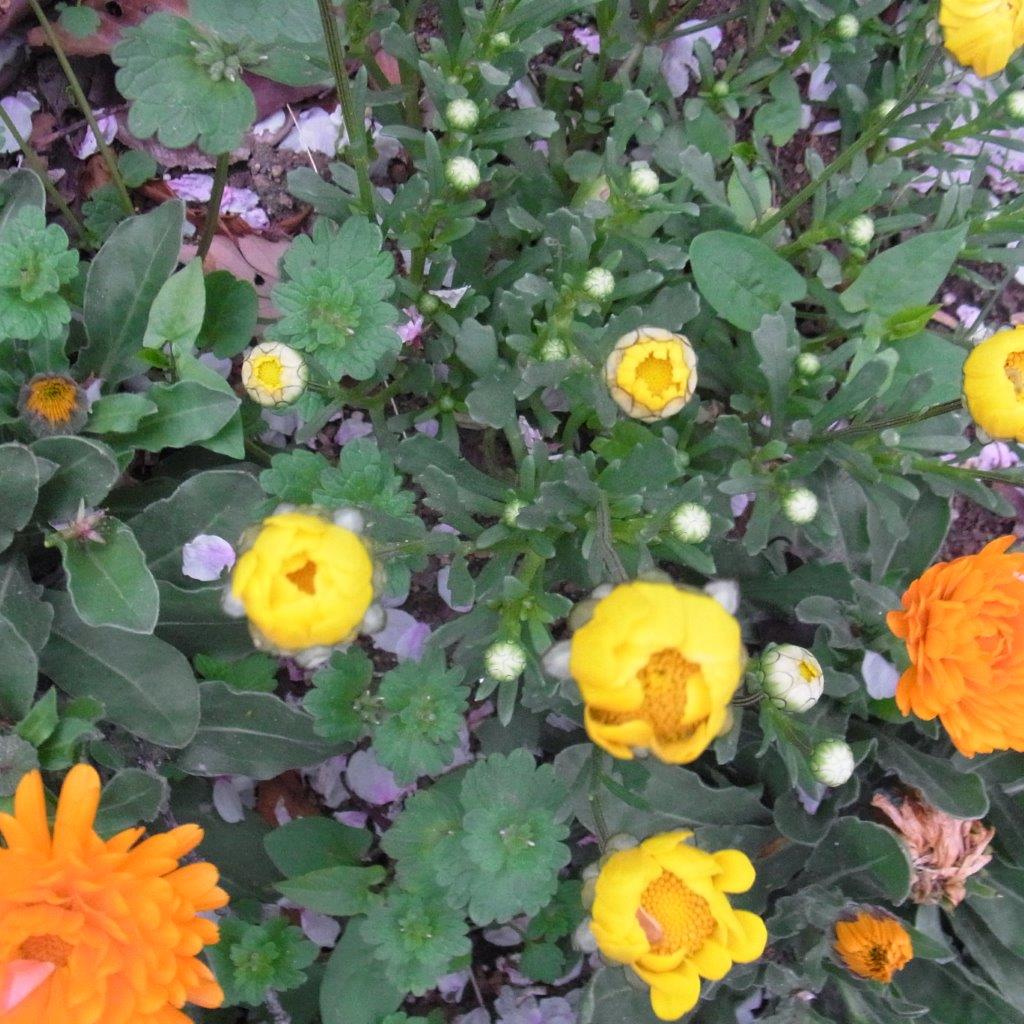 a0123465_2334767.jpg