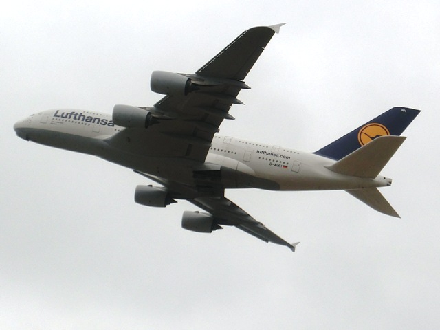 a0165966_12165573.jpg