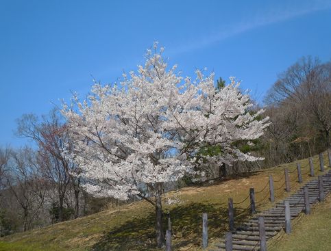 あっという間の1年だった_b0102572_22412240.jpg