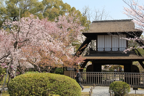 f0259373_1794190.jpg