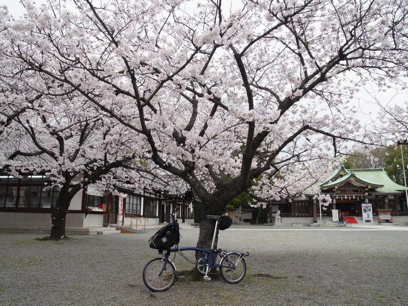 ぶら～り和歌山市内_c0177576_275329.jpg