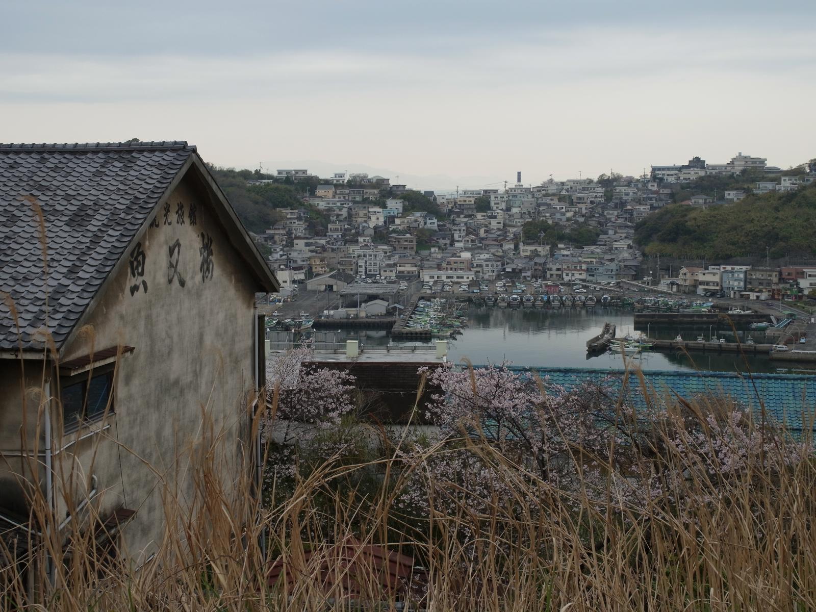 ぶら～り和歌山市内_c0177576_341072.jpg