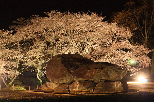 明日香のサクラ13 石舞台古墳夜桜ライトアップ 明日香ふぉと 明日香のサクラ13 石舞台古墳夜桜ライトアップ 明日香ふぉと