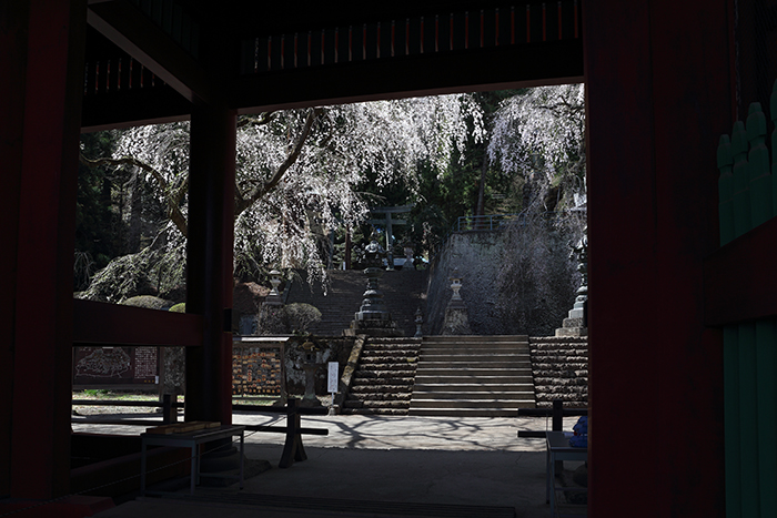 妙義神社_d0234484_2273764.jpg