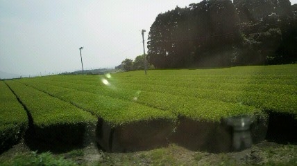 a0168186_14331070.jpg