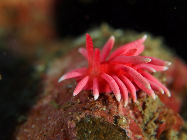f0151886_15341166.jpg
