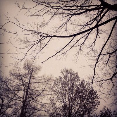 雨のなかに微笑する_d0028589_17231816.jpg