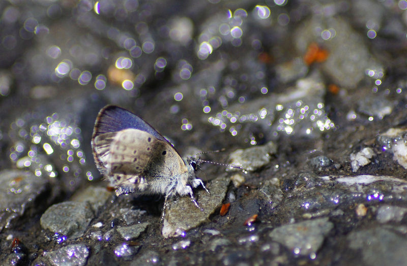 b0078795_18313466.jpg