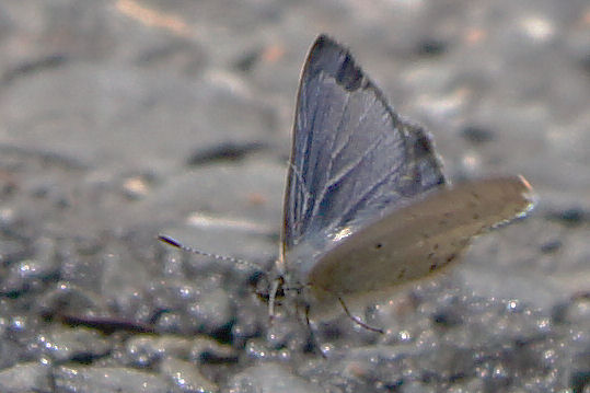 b0078795_19203447.jpg