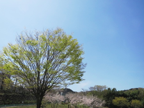 e0025596_23423358.jpg