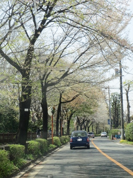e0025596_23451588.jpg