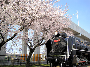 a0177205_17291239.jpg