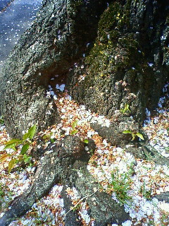 a0228408_1919165.jpg