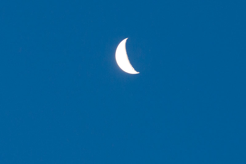 a0278914_8105711.jpg