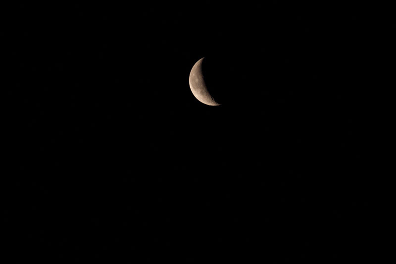 a0278914_862413.jpg