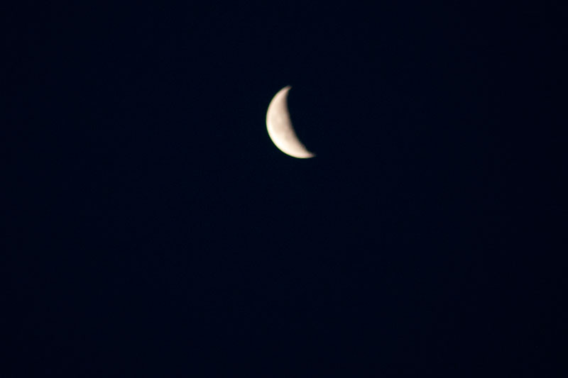 a0278914_891942.jpg