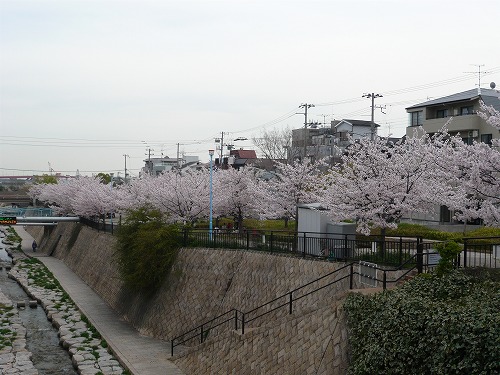 f0223914_14252039.jpg