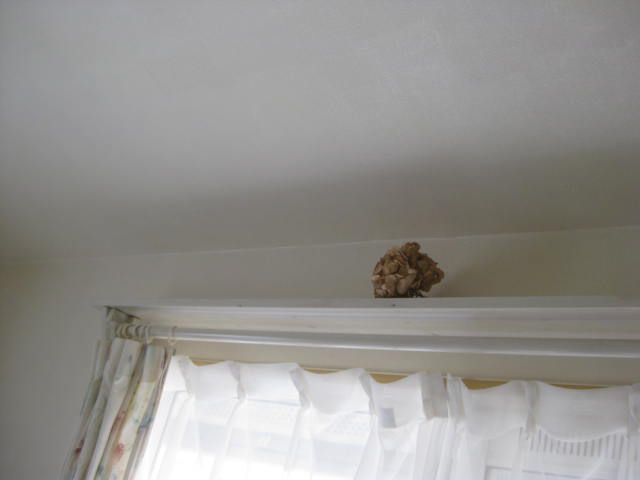 c0085916_1020245.jpg