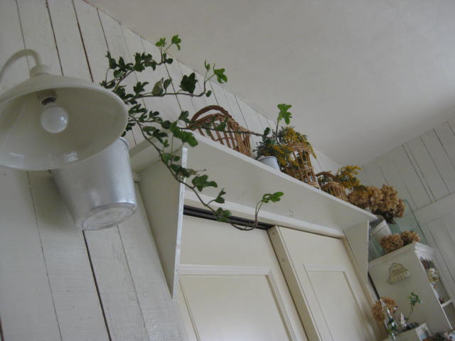 c0085916_1094423.jpg